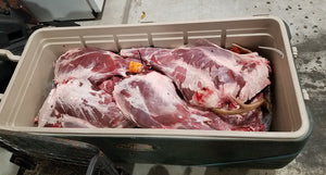 Whitetail Deer: An Enduring Commodity