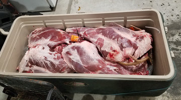 Whitetail Deer: An Enduring Commodity