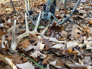 The Crossbow Conundrum: A Spirited Debate