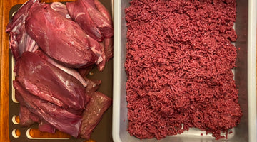 Debunking Five (5) Venison Myths