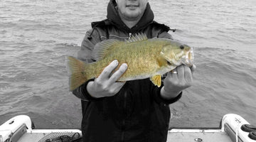 Fishing Spoons, Wounded Bait Fish, and Finding Fall Bass