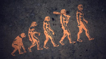 Dare to Evolve: The ‘Devle’ is Truly in the Detail
