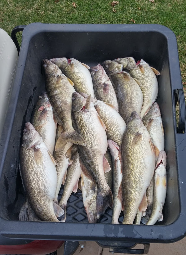 2.70" RIFTech Mini Trolling Spoons