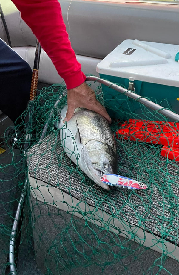 4.70" Magnum Trolling Spoons