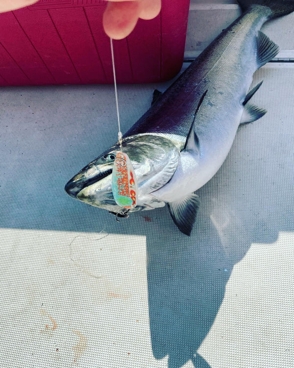 4.70" Magnum Trolling Spoons