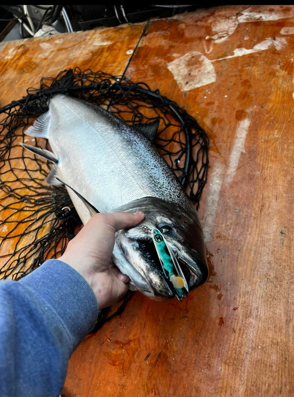 3.75" Standard Trolling Spoons