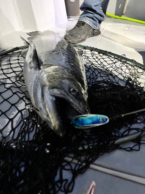 3.75" Standard Trolling Spoons