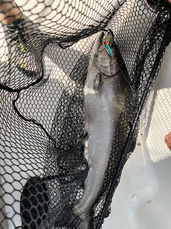 3.50" RIFTech Skinny Trolling Spoons