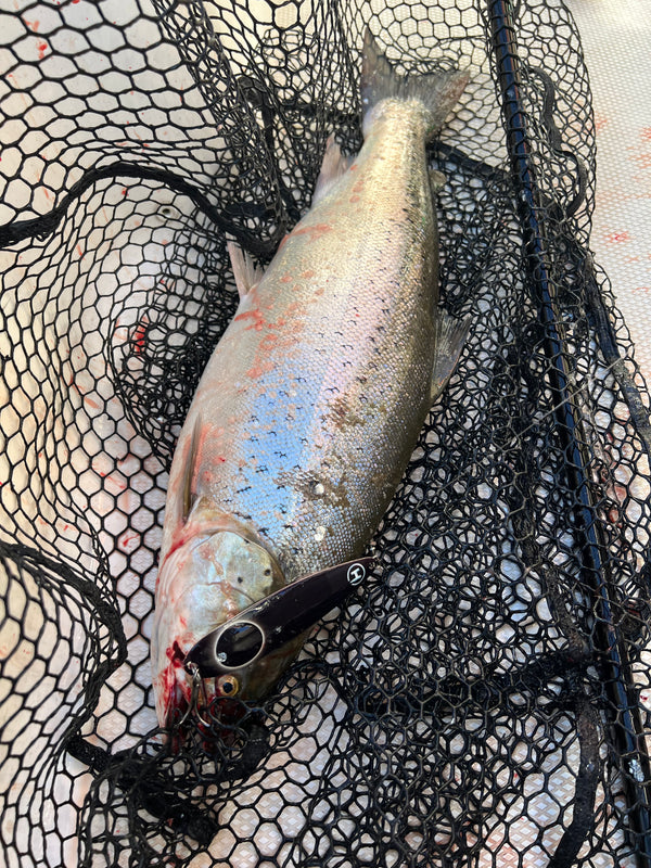 4.70" Magnum Trolling Spoons