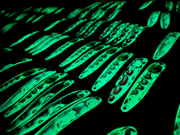 3.50" RIFTech Skinny Trolling Spoons