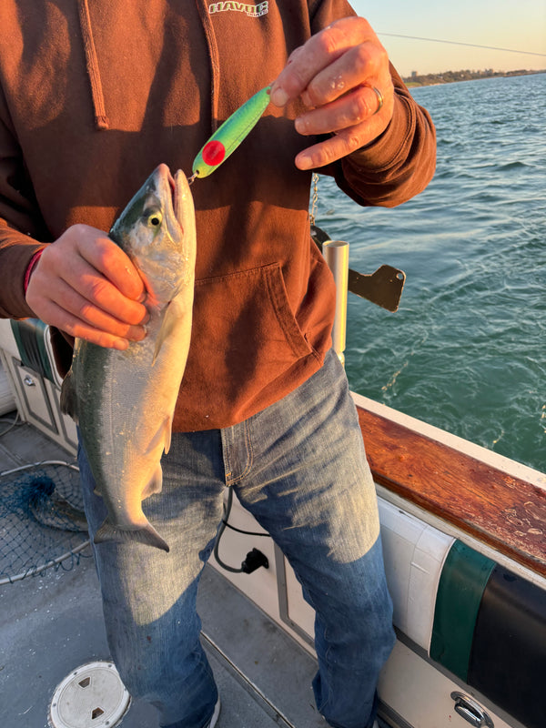 3.625" RIFTech Standard Trolling Spoons