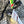 Load image into Gallery viewer, 3.50" RIFTech Skinny Trolling Spoons