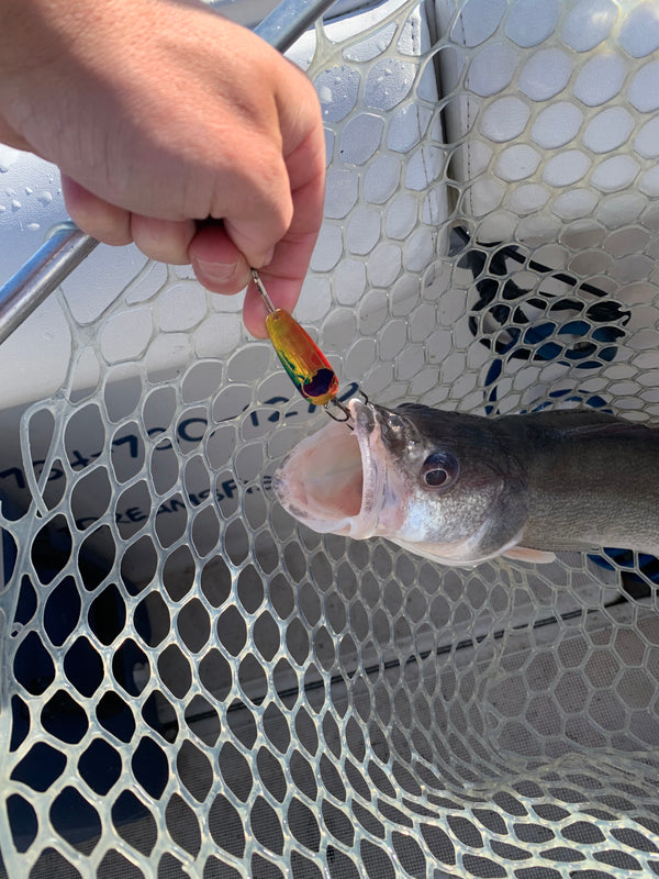 Walleye RIFTech 2.70" - NEW*
