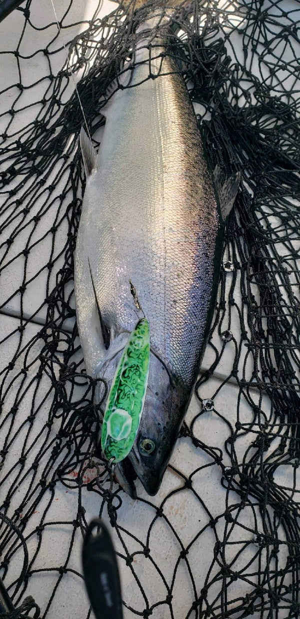 4.70" Magnum Trolling Spoons