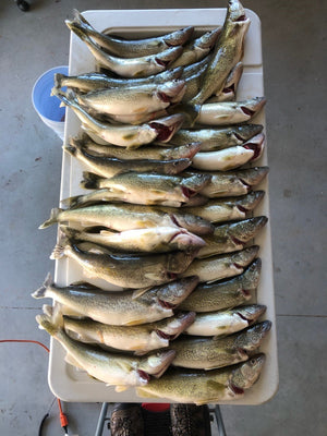 Walleye RIFTech 2.70" - NEW*
