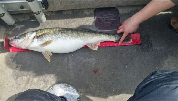 2.70" RIFTech Mini Trolling Spoons