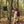 Load and play video in Gallery viewer, A video depicting Michael Hiller taking down a previously used gambrel and using it as a cutting board to cut venison tenderloin.