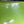 Load and play video in Gallery viewer, 3.625" RIFTech Standard Trolling Spoons