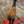 Load image into Gallery viewer, Kick-ass Deer Drag - Anodized Aluminum with Paracord Rope