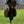 Load image into Gallery viewer, Trophy Board™ (Turkey, Bird & Waterfowl Hanger and Cutting Board)