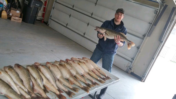 Mike Hiller holding a large walleye fishing and standing behind a foldout table filled with many large walleye fish.