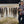 Load image into Gallery viewer, Shane O&#39;Hara Hiller as a pre-teen standing by a King salmon, a Brown trout, and Lake trout he caught.. Boy with arms crossed standing next to many fish.
